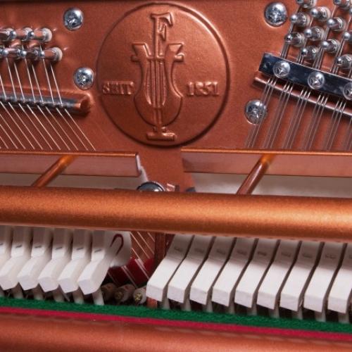 FEURICH Mod. 115 - Premiere action and frame